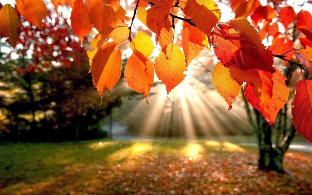 COASTAL AUTUMN GETAWAY 25% DISCOUNT OFFER